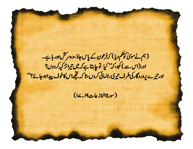 Tazkiya (Tasawwuf) in Quran