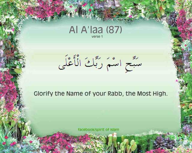 Glorify the Name of Your Rabb