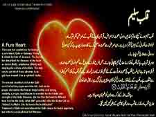 قلبِ سلیم کے لئیے شرائط