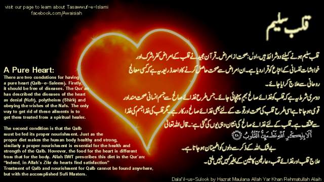 قلبِ سلیم کے لئیے شرائط