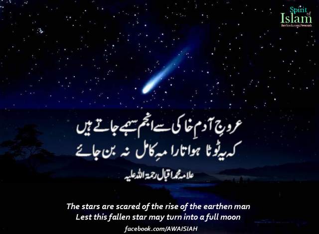 The Rise of a Human Being