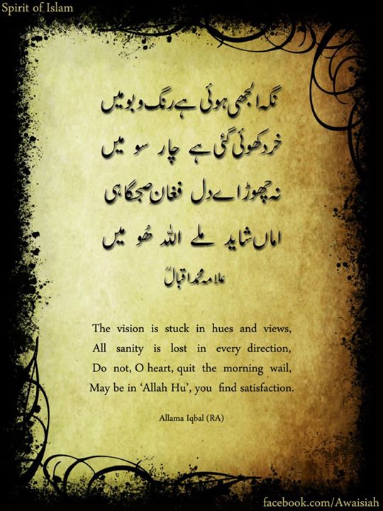 Nigah uljhi hui hai hai ranng o bu main