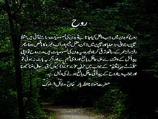 Qualities of Rooh